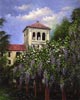 Chi Yu - Beauty of Campus, Santa Clara