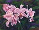 Chi Yu - Beauty Of Orchid