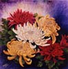 Chi Yu - Chrysanthemum in colors