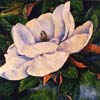 Chi Yu - Elegant Magnolia
