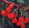 Chi Yu - Sweet Cherries