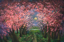 Chi Yu -  Moonlight Paradise