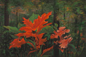 Chi Yu - The Heart of Autumn