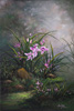 Chi Yu - Iris Passion