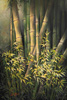 Chi Yu - Sun Shining on the Bamboo Garden