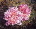 Chi Yu - Peony Passion