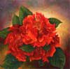 Chi Yu - Camellias After Rain