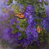 Chi Yu - Loving Pair Of Butterflies