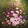 Chi Yu - Afternoon In My Peony Garden