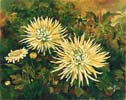 Chi Yu - Winter Dahlias