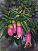 Chi Yu -  A Perspective in Fuchsia