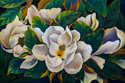 Chi Yu - Beautiful Symphony Of White