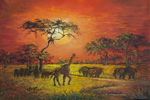 Beauty of Africa