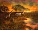 Chi Yu - African Sunset