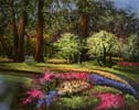 Chi Yu - Spring Blossoms At Kukenhof Park